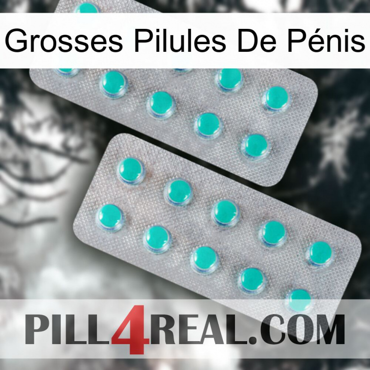 Grosses Pilules De Pénis 29